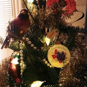 Meet your Posher, Deanna